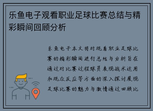 乐鱼电子观看职业足球比赛总结与精彩瞬间回顾分析