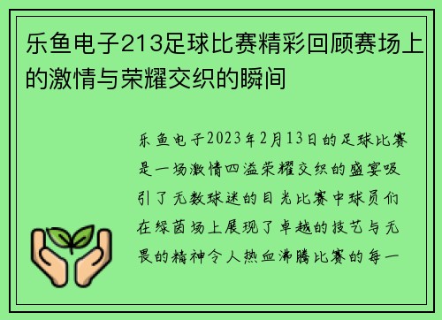 乐鱼电子213足球比赛精彩回顾赛场上的激情与荣耀交织的瞬间